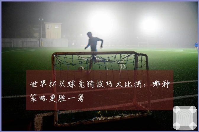 世界杯买球竞猜技巧大比拼，哪种策略更胜一筹
