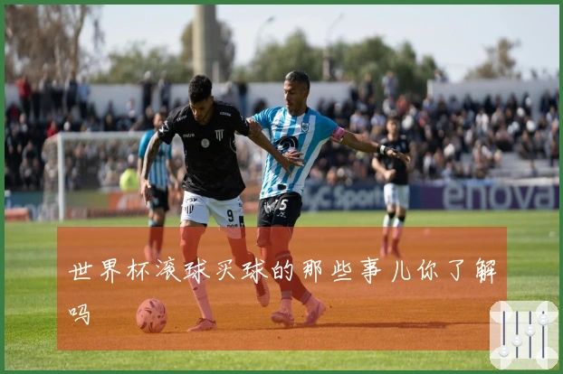 世界杯滚球买球的那些事儿你了解吗