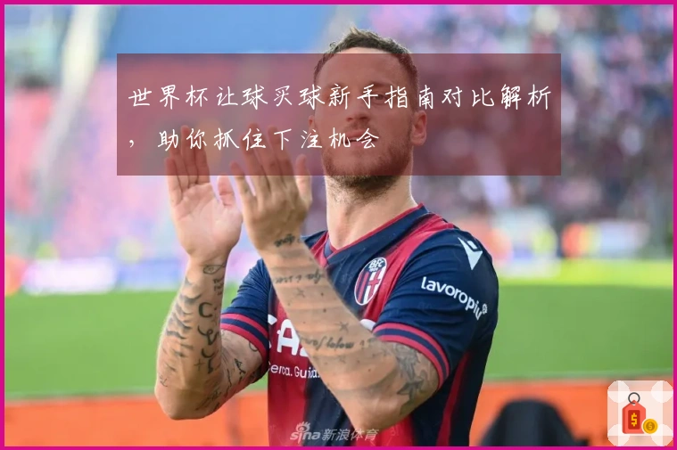 世界杯让球买球新手指南对比解析，助你抓住下注机会