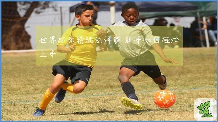 世界杯竞猜玩法详解 新手如何轻松上手